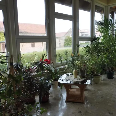 Nette Mit Garten, Grill Und Pool Apartment